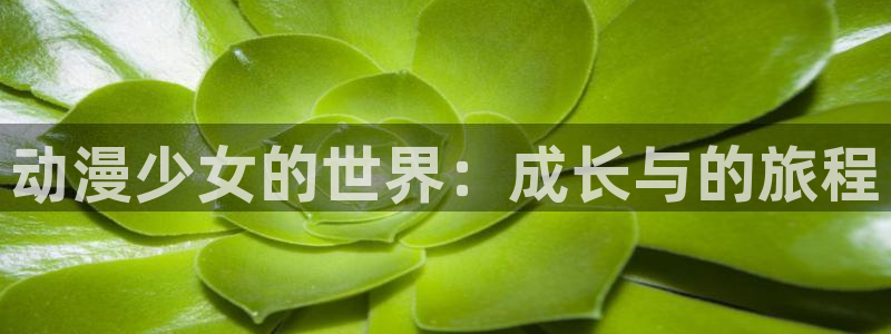 omofun动漫下载最新：动漫少女的世界：成长与的旅程